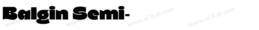 Balgin Semi字体转换